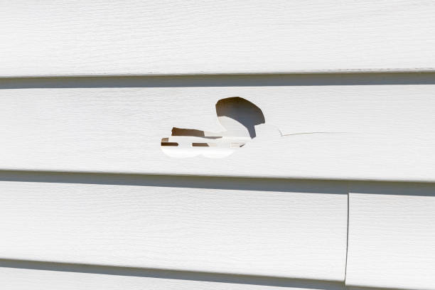 Best Same-Day Junk Removal Services  in Country Squire Lakes, IN